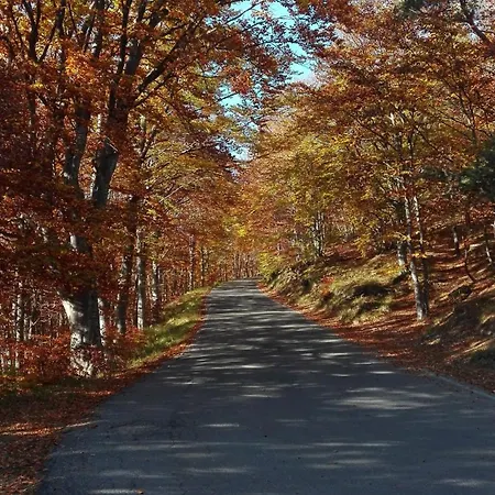 Casa Rubino - Bajardo Daire Baiardo